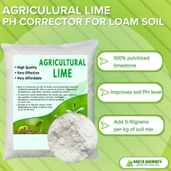 AGRICULTURAL LIME ORGANIC FERTILIZER  AGRILIME ORGANIKONG PATABA PANTANGGAL ASIM NG LUPA