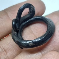 cincin unik akar bahar