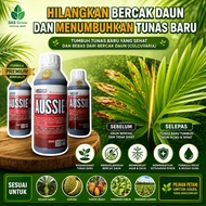 [SET JIMAT] 3 Units Aussie 250ml - Rawatan Ganoderma & Penggalak Akar Baru Pokok Sawit