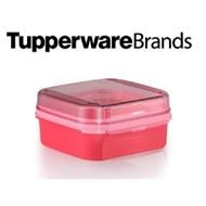 tupperware Ezy Keeper Square (1) 1.2L