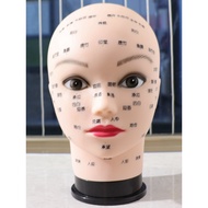 Head Model ️ Head Model ️ Head Model ️ Head Model ️ Head Model ️ Facial Acupoint Massage Face Wash S