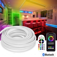 Seville Bluetooth 220V LED Neon Strip RGB Dimmable Smart Flexible Soft Led Tape IP67 LED Neon Strip 
