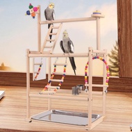 [baoblaze21] Parrot Playstand,Parrot Bird Playground,Exercise,Activity Center Perch Stand Wood Perch