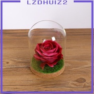 [Lzdhuiz2] Glass Cloche Dome Jar Dollhouse Terrarium with S