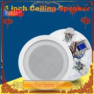 5 Inch Ceiling Speaker 10W Loud Speaker Stereo Sound for Public Address Background Music Audio(Level Pressure)