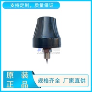 5.8G 3dBi Terminal Antenna wifi Antenna wlan Router Antenna