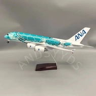 Bestselling New Planes Air Ana A380 Cartoon Sea Turtle Airlines Model Plane Collectible Aircraft 380