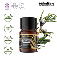 Cedarwood (Virginia) / Cemara Virginia Essential Oil Pure 100% 2-10ML GS