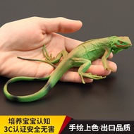 Solid Children Simulation Animal Toys Reptile Model American Green Iguana Lizard Cognitive Gift Deco