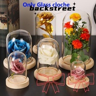 BACKSTREET Glass cloche Home Decor Terrarium Tabletop Terrarium Jar Transparent Bottle Flower Storage box