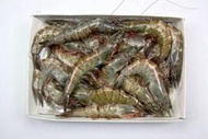 【冷凍蝦蟹類】活凍白蝦(26/30) /約 750g~殼薄新鮮~肉嫩味美~鮮甜便宜又好吃~