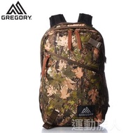 【💥Cottonwood Camo】21L GREGORY Every  DAY  Cottonwood Camo 背囊 / 書包