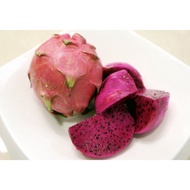 BUAH NAGA MERAH/HARGA UNTUK 3BIJI