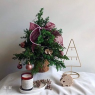 永生聖誕樹 / 聖誕布置 / 聖誕裝飾 / 聖誕節