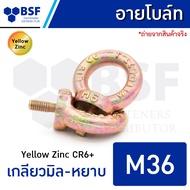 สกรูอายโบลท์ สกรูห่วง ชุบรุ้ง 1/4" ถึง 2.1/2" และ M6 - M36 เกลียวหุน BSW / เกลียวมิลหยาบ