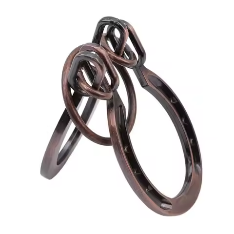 Classical Horseshoe Cast Metal Brain Teaser Puzzles Disentanglement Logic Skill Development Problem 