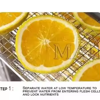 80 Trays Food Dried Fruit Machine Dryer For Vegetables Dried Fruit Meat Stainless Steel Dehydrator F