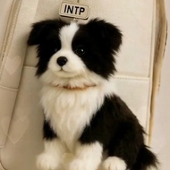 New Pet Border Collie Dog Plush Doll Pendant Cute High-Value Border Collie Doll for Friends and Best