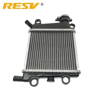RESV for YAMAHA NMAX AEROX NVX 125 150 155 2020-2024 B6HE240A0100 B6H-E240A-01 Radiator Assy Water T