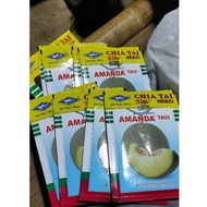 Jual Melon amanda tavi Murah