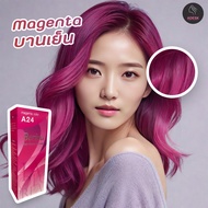 เบอริน่า A24 สีบานเย็น สีย้อมผม ครีมย้อมผม สีผม เปลี่ยนสีผม Berina A24 Magenta Hair Color Cream