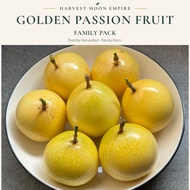 Panama Golden Passion Fruit Family Pack｜巴拿马黄金百香果 家庭装｜Buah Markisa Emas Pek Keluarga