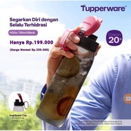 H2Go 750/Eco straw bottle 750ml/Chic flask 500ml