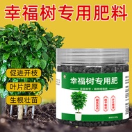 Happy Tree Dedicated Fertilizer Happy Tree Falling Leaves Dedicated Fertilizer Anti-yellow Leaves wi