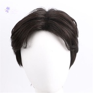 【HOT SALE】 Real Human Hair Wigs Men Short Full Wig Hairpiece Toupee for Bald Men Fathers Day Gift