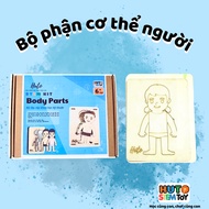 Wooden 3D Human Body Puzzle Toy