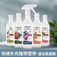 Green Plant Amino Acid Nutrition Liquid Dilution-Free Direct Injection Foliage Hydroponics Succulent