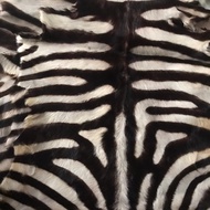 kulit kambing motif harimau Tiger macan loreng coklat leopard zebra chetah bahan tAS DOMPET karpet