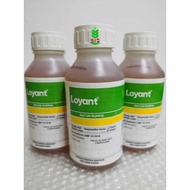 Dow AgroScience LOYANT @500ml Racun rumput padi