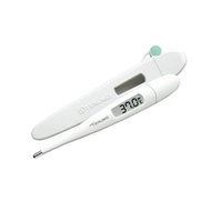 TERUMO Digital Clinical Thermometer - Axillary