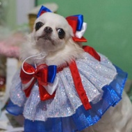 Pet Collar Red White Blue For Fashion Lovers Who Have A Calm Heart But Are Not Afraid To Fight. Prod