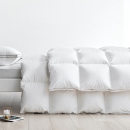 Liv-Esthete Winter 100% Goose Down Quilt Comforter 3D Bread Duvet All Season Blanket Twin Double Que