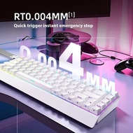 Mercury68 Pro Magnetic Switch Mechanical Keyboard Wired 8000Hz RT0.004mm Low Delay Gaming Keyboard G