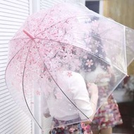 和風日本風透明櫻花粉紅雨傘直遮 小櫻美少女