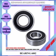 6002 LAKER BEARING 6002 BEARING LAHER/