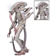 [Baru] [Neca] Aliens - Xenomorph (Albino Drone)