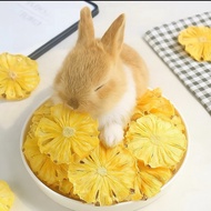 Dehydrated Pineapple Slice 30g – Natural Bunny Treat | Digestive & Hairball Support | No Sugar