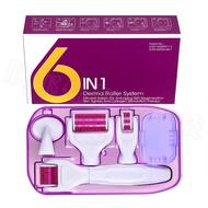 Roller 1drs6 Micro Repair Needle Facial Needle Seal Micro Instrument 6in1 Needle Manual Set Beauty S