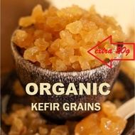 Water Kefir Grains Probiotic Water Kefir Grain KEFIR / 克菲尔颗粒 (Active Grains)