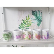 ☈Cement Pots For Succulents