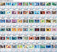 放PTCG Pokemon 物品卡 中文 A/B/C/D牌 實用中文版DECK料 開放賽制用