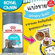 【แบ่งขาย】Royal Canin อาหารแมว โรคนิ่ว กระเพาะปัสสาวะ สะลายนิ่ว ป้องกันนิ่ว แบ่งขาย ล็อตใหม่ บรรจุถุงซิล มีสินค้าพร้อมส่ง