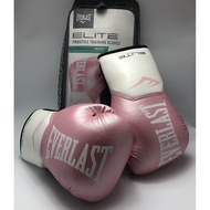 Everlast preloved 12oz Boxing Gloves