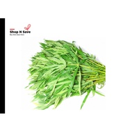 FRESH VEGETABLE- DAUN UBI KAYU 木薯叶