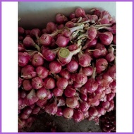 ☌ ◈ ☸ 1 kg lasona native sibuyas red onion from ilocos