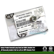W175 Rear Gear Nut kawasaki 315AA1000